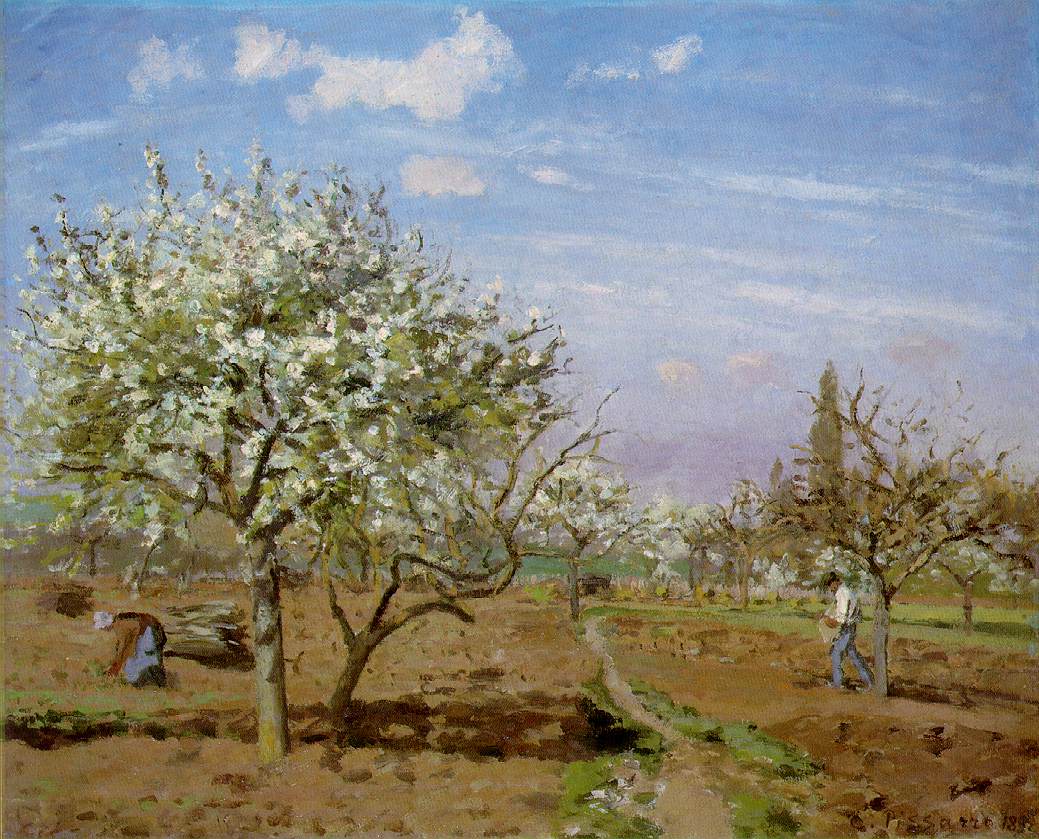 orchard