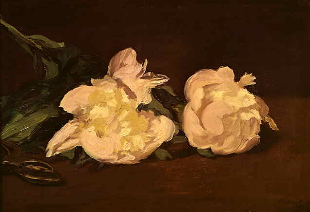 manet_peonies