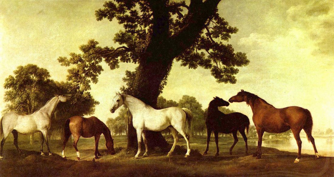 George_Stubbs_014