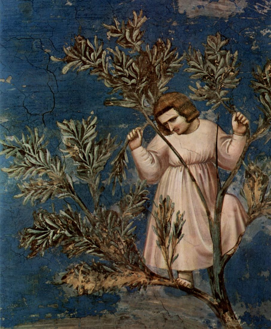 Giotto_di_Bondone_014