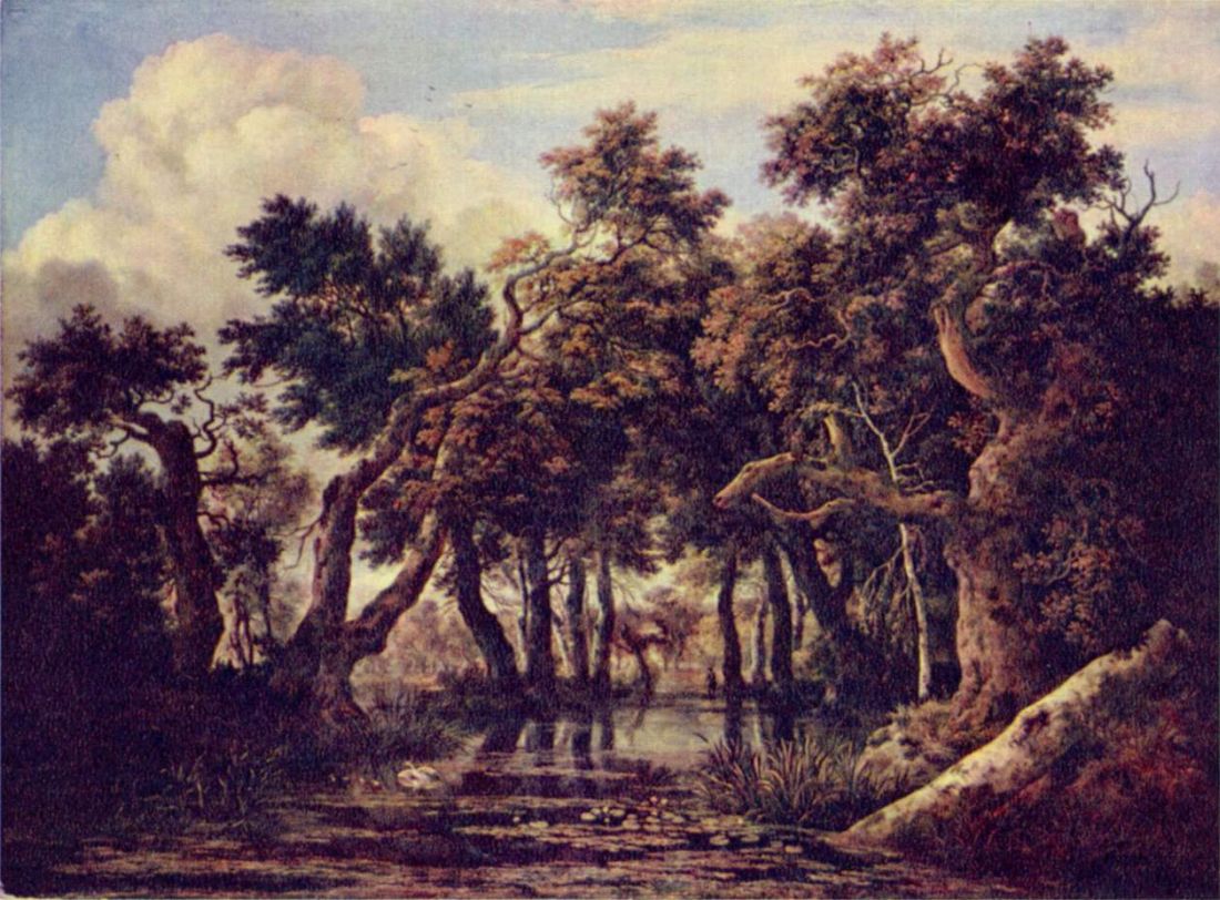 Jacob_Isaaksz._van_Ruisdael_015