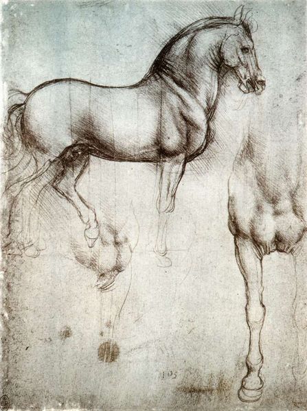 Leonardo_da_Vinci-447px-Study_of_horse