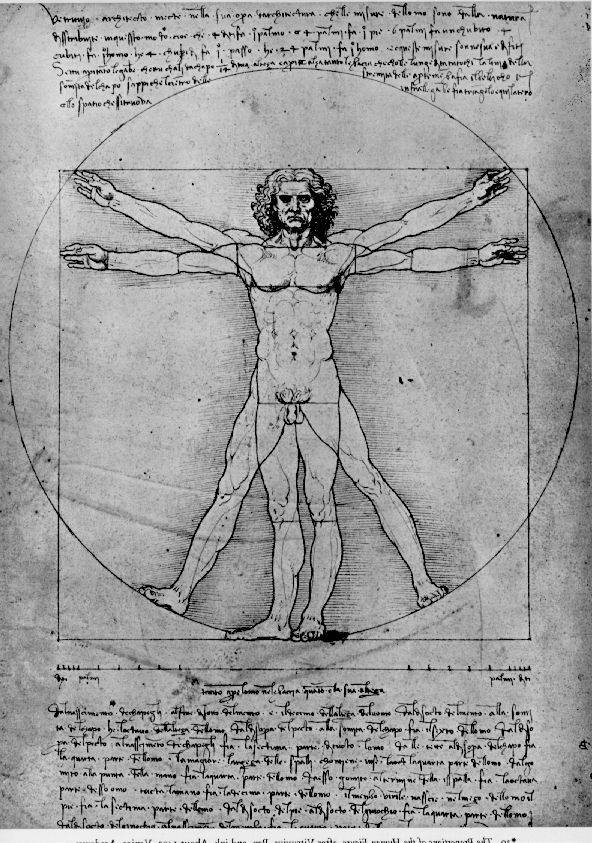 vitruvian