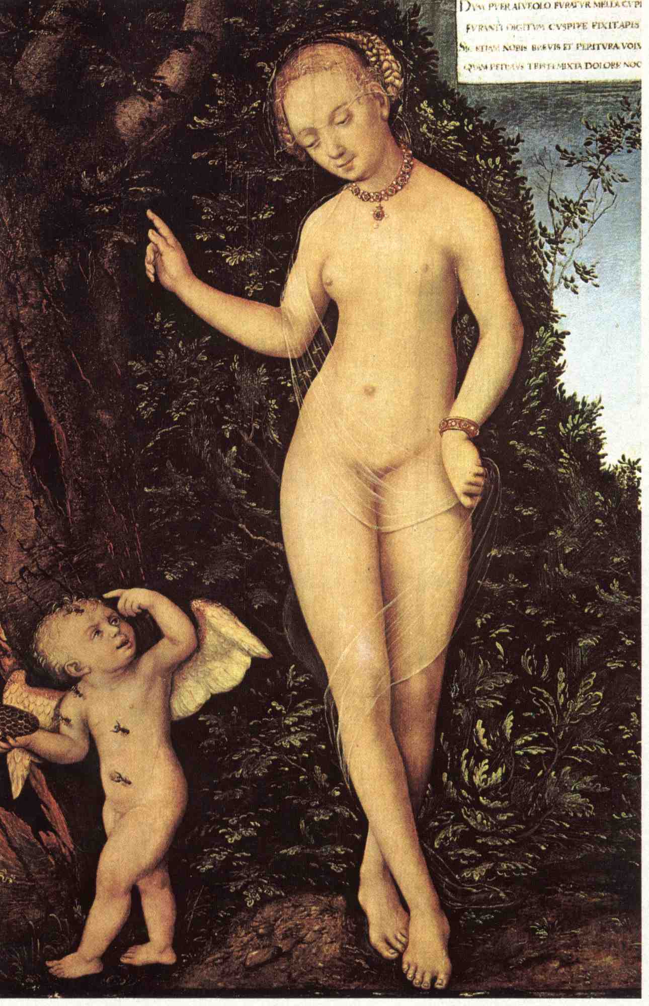 Lucas-Cranach--Venuse-a-Kupido