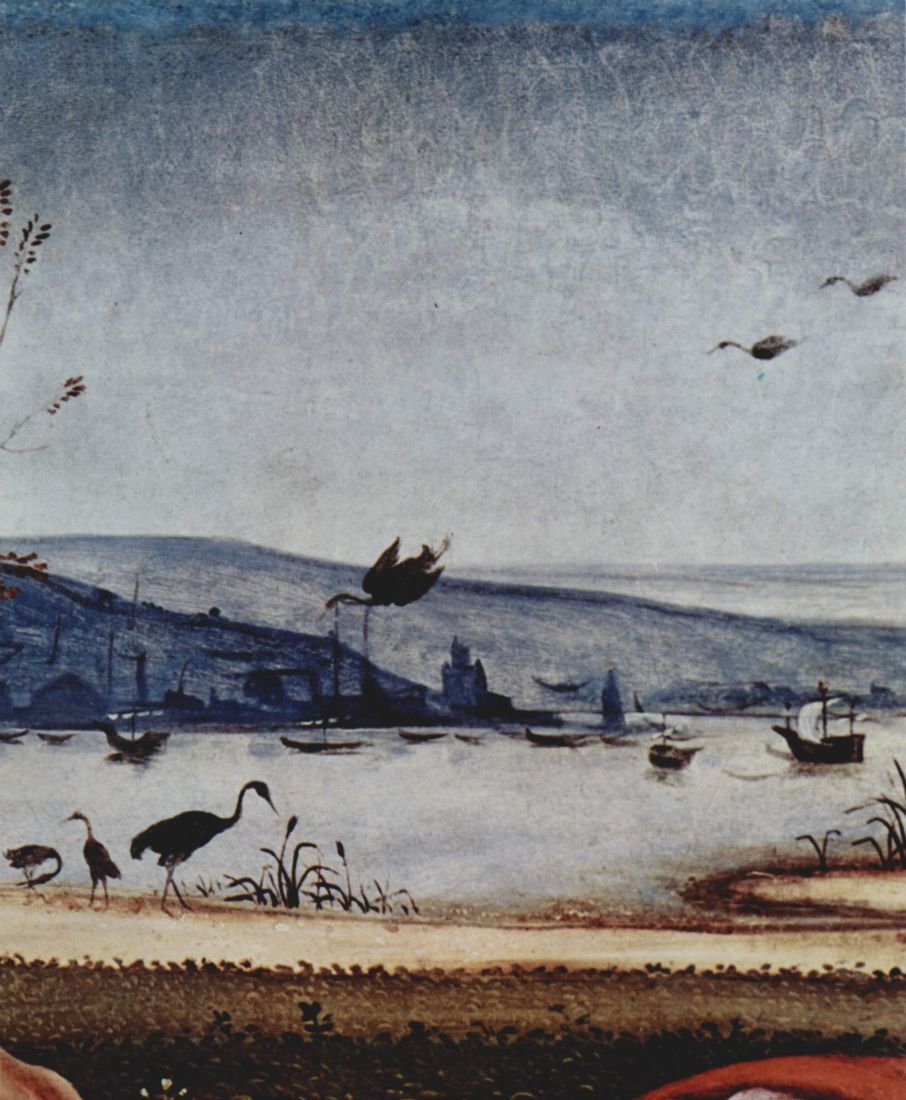 Piero_di_Cosimo_014