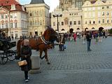 prague-p1270107.jpg